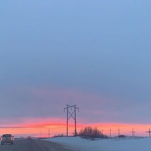 Meet your Posher, Cassidy